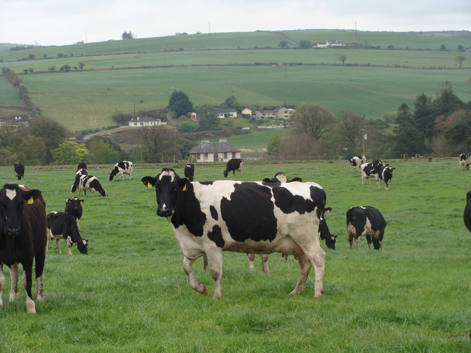 Viaje Técnico ESCOCIA, IRLANDA E IRLANDA DEL NORTE 2026